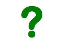 Male1 - Uromastyx geyri