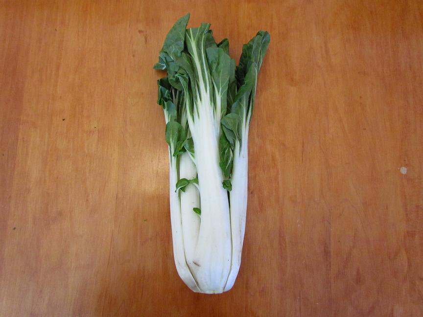 Élevages Lisard - Bok choy