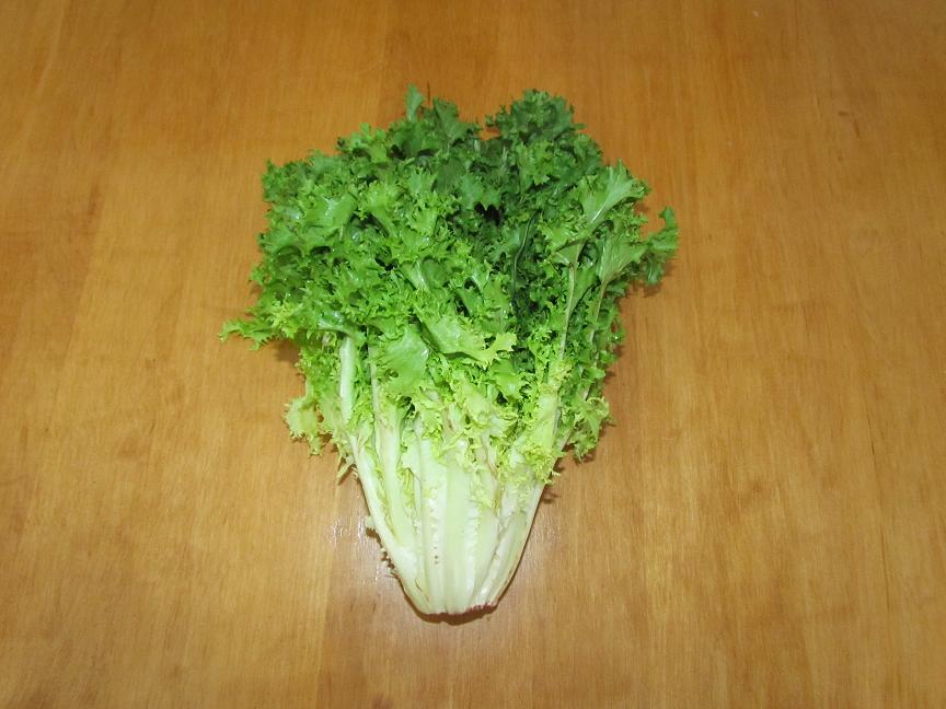 Élevages Lisard - Chicoré frisée