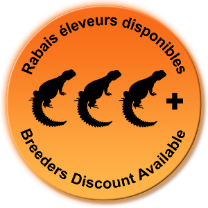 Élevages Lisard - Rabais éleveurs disponibles / Breeders Discount Available