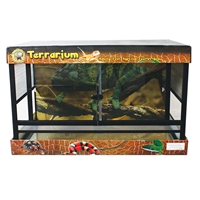 Élevages Lisard - RT Terrarium